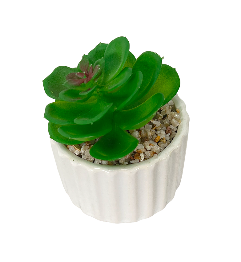 Suculenta mix base prisma 12,5cm