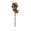 Flores secas artificial 50cm